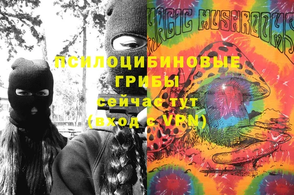 прущая мука Алзамай