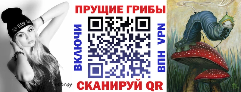 сколько стоит  Полысаево  Псилоцибиновые грибы Magic Shrooms 